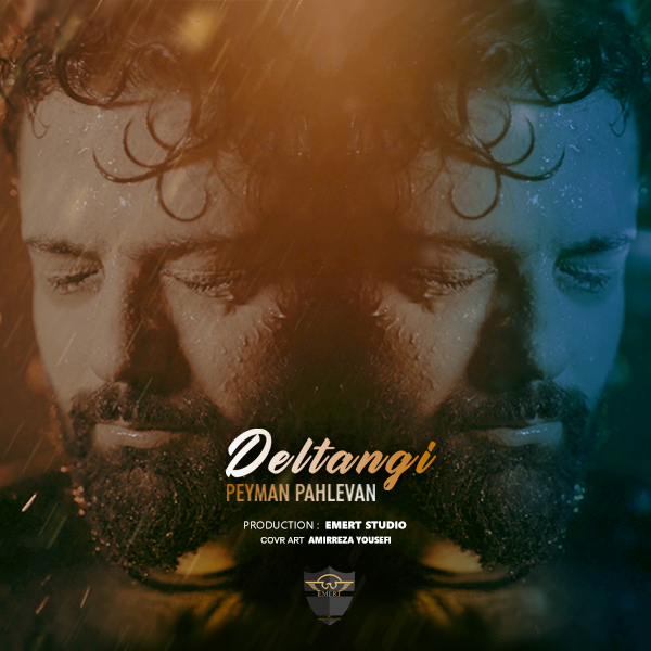 دانلود آهنگ دلتنگی